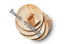 Disposable  leaf  plates