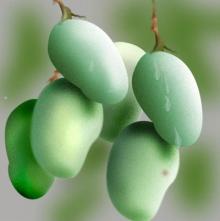mangos
