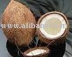 Whole Coconut