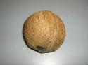  Fresh   Organic  Coconut