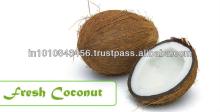 Coconut Supplier