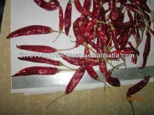 DRIED RED CHILLI