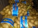 Fresh Potatoes