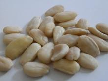 Organic Blanched Almonds
