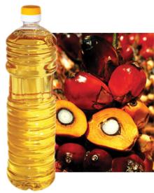 Palm Oil