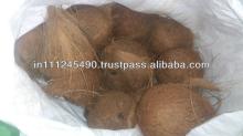 Indian  Fresh   Coconut   Export ers