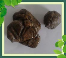 Factory direct sales raw bee propolis Chinese manufactures