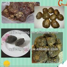 bee propolis extract