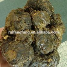 Natural green propolis green health food
