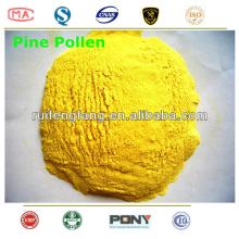china pine pollen powder