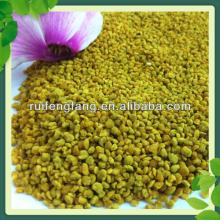 nature Chinese rape flower bee pollen