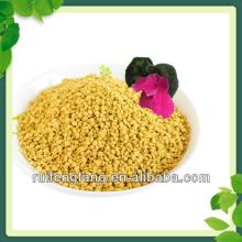100% Nature Rape Bee Pollen Granular
