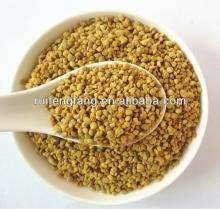 Factory supply honey bee pollen with best price
