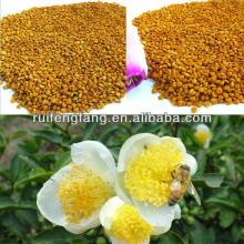 hot selling wild organic tea honey bee pollen