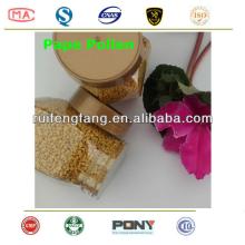 rape bee pollen