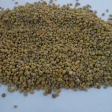 hot selling wild organic mixed honey bee pollen