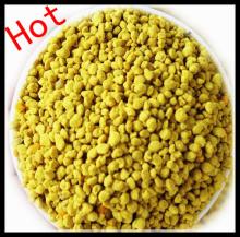 fresh natural rape bee pollen with competitive price from Chinese factory
