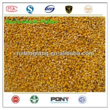 honey bee pollen granule from Chinese manufacturer