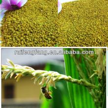 2014 anti-obesity skincare food  bee   pollen   granules 