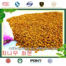 Bulk fresh organic honey bee pollen