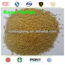  rape   pollen 