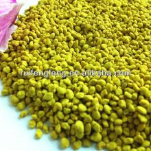 fresh rape flower bee pollen
