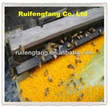 2014 high quality  bee  pollen powder sold by excellent chinese manufacture