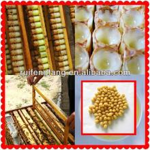 health related products queen bee royal jelly