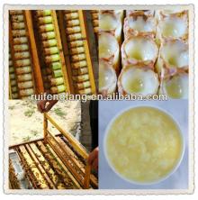 2014 Spring fresh bee royal jelly made by ruifengfang