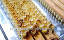 bulk natural honey fresh royal jelly