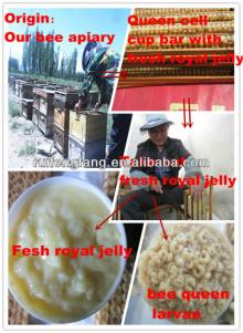 2014 Spring reinforce vital energy  natural   royal   jelly  capsules