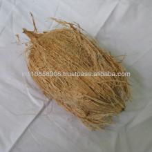 semi white shell coconut