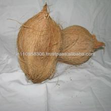 semi husk coconuts