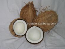 coconuts from  tamilnadu 