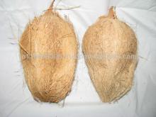 SEMI HUSKED COCONUTS