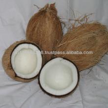 mature  coconut s 25 per bag supply