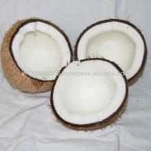 mature fresh coconuts from tamilnadu