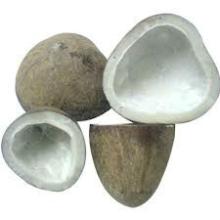 coconut copra