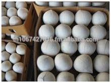 32 pcs of Polished young coconut