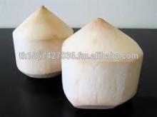 100% Fresh Thai Young Fresh Organic Coconut ( DIAMOND SHAPE)