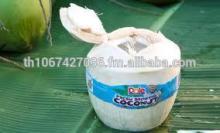 100% High Quality Natural Organic Fresh Young Coconut, (Diamond Shape) Available Now!!!!