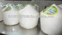 100% Fresh Young Coconut, (Diamond Shape) Ready for Export to Any Safe World Port