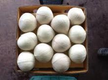 32 pcs of Thai Organic Polished young coconut from Thailand