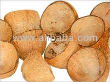  coconut   shell  for sale