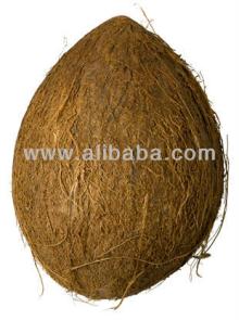 Fresh and dry coconuts for sale