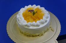 LEADER16 non dairy cream ( Acid resistance )