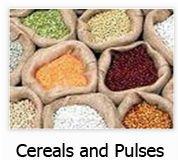  Cereals  and  pulses 