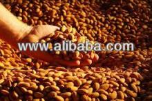 GOOD QUALITY Almond