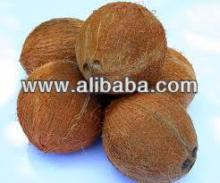 high quality Coconuts