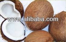 Coconuts (for sale now)